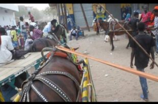 Screenshot 20250521 124618 WhatsApp