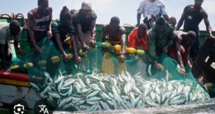 Screenshot 20250526 202956 Google