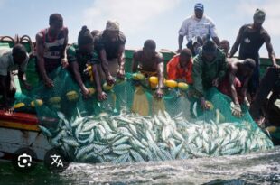 Screenshot 20250526 202956 Google