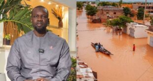 WhatsApp Image 2024 10 17 at 00.37.44 1