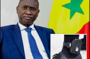 e2bedb4d 1c2f 41f0 833c 149f1c0c9d5a