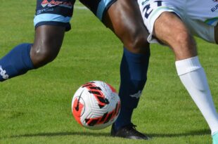 sudouest photo 1 30512371