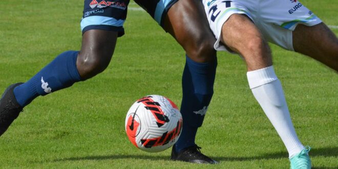 sudouest photo 1 30512371