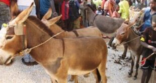 0e9bf0b3b7dfff24cf280a97c7b16452c53d1ea9