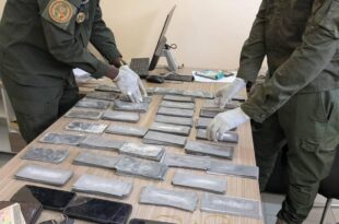 1de00569 f590 43f3 9290 a9c46e5c6bb5