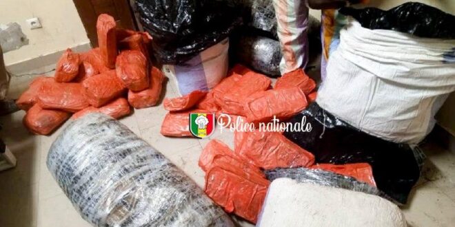 503485369 1234057604782235 6786058279180809492 n