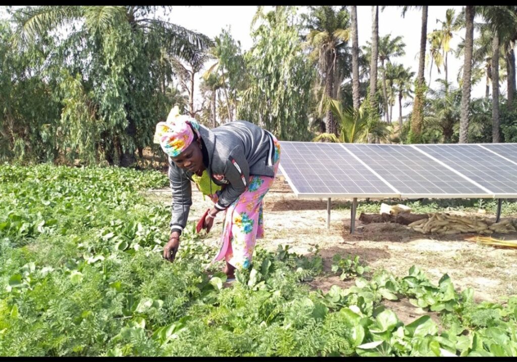Mobilisation nationale autour du Pacte sur Genre et Energie: Mercy Corps mise sur leur intégration dans les politiques et programmes énergétiques 1 Screenshot 20250624 182338 WhatsApp