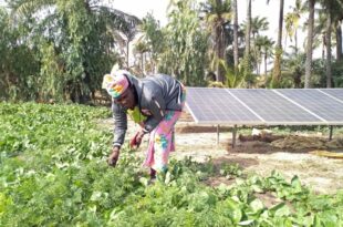 Screenshot 20250624 182338 WhatsApp