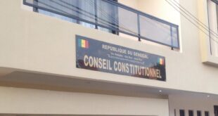 conseil 6096 1