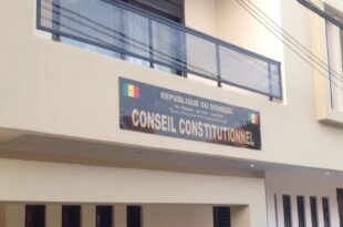 conseil 6096 1