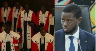 diomaye magistrature