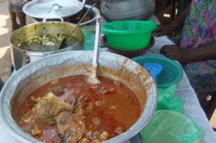 togo que retenir de le28099alimentation de la rue.jpeg