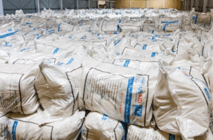 Capture decran 2025 07 29 235945