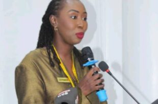 IMG 20250711 WA0166 1