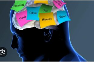 Screenshot 20250701 162132 Google