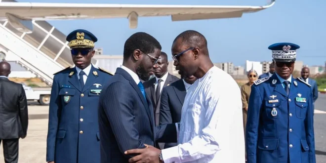 WhatsApp Image 2025 07 15 at 12.13.17