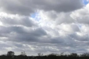 67baac35cb4836f1be0ee731cbe1962d 1606028122