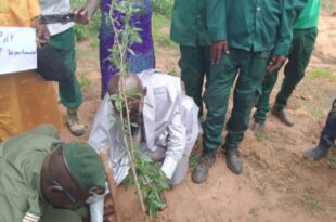 Screenshot 20250803 180326 WhatsApp