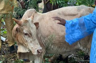 Screenshot 20250811 221253 WhatsApp