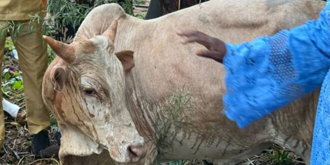 Screenshot 20250811 221253 WhatsApp