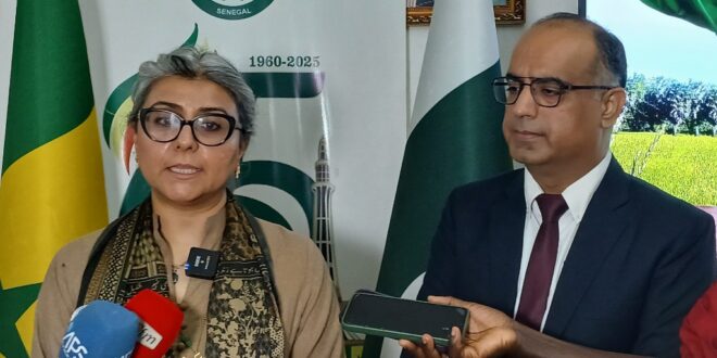 Screenshot 20250818 130857 Gallery