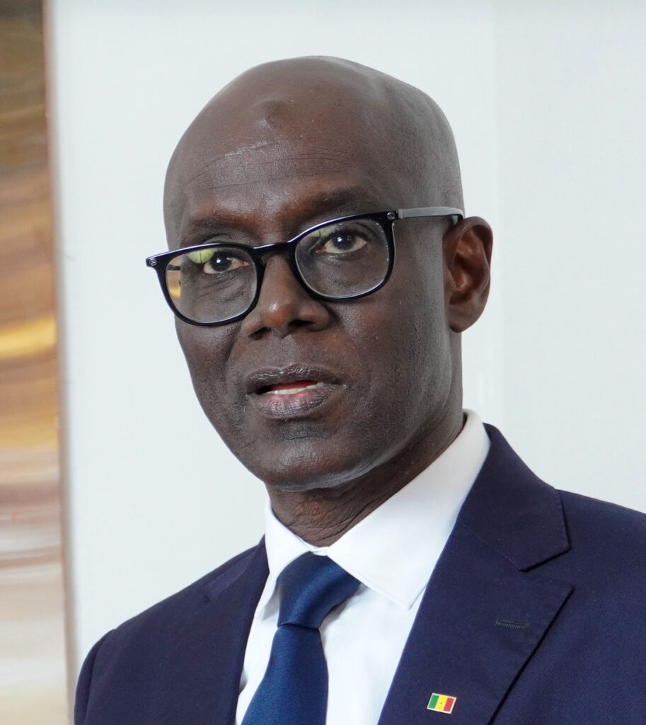 Thierno Alassane Sall Portrait