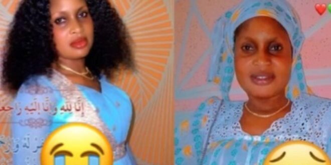 thumb 1260x800 689459cb79de2 si4tIobvJb