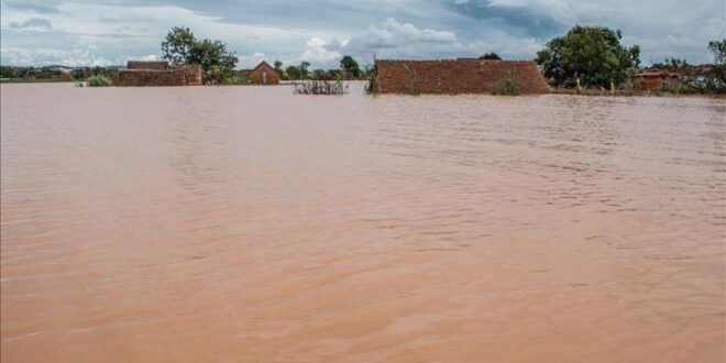 vis 0816202500024720