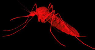 03 2 2020 2 GettyImages 1252409001 ITA72