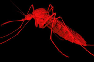 03 2 2020 2 GettyImages 1252409001 ITA72