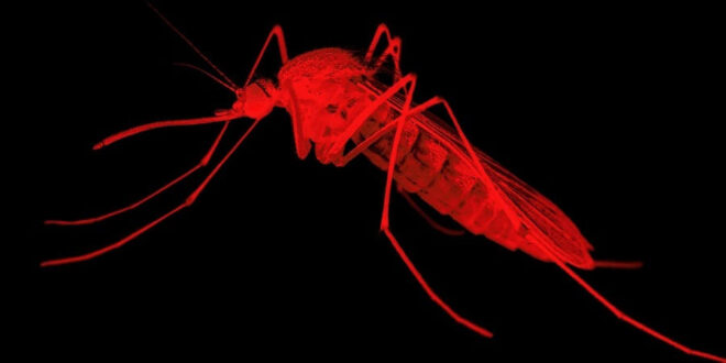 03 2 2020 2 GettyImages 1252409001 ITA72