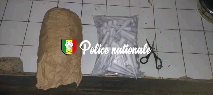 Yoff : Un individu interpellé pour détention et trafic de chanvre indien 1 1757416563405