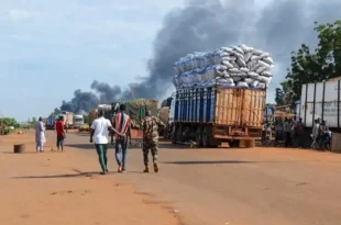 943150ce 2202 4c14 89e7 59f1e8184931