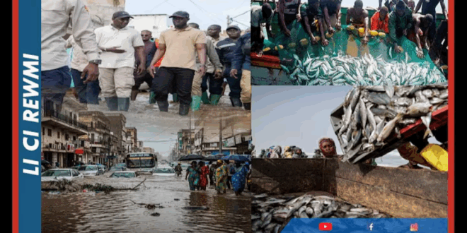 Capture decran 2025 09 17 114902