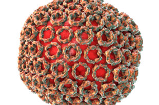 Rift Valley Fever Virus 1 M