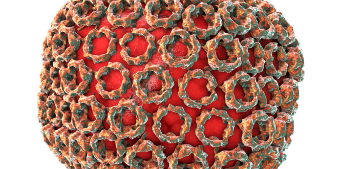 Rift Valley Fever Virus 1 M