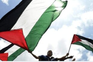 Screenshot 20250921 1527592