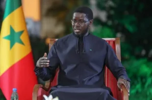 dialogue diomaye.jpeg