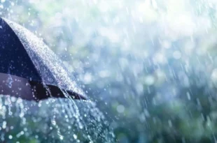 thumb 1260x800 68b735b33d1f4 5bif2vjhdz 1200x675 1