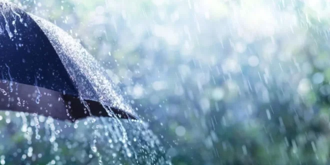 thumb 1260x800 68b735b33d1f4 5bif2vjhdz 1200x675 1