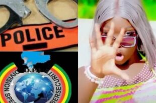 thumb 1260x800 68ce5d826449d 3PN5BzI72G