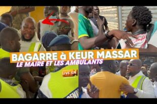 thumb 1260x800 68d9244ae29ca kq6tdOkdkB