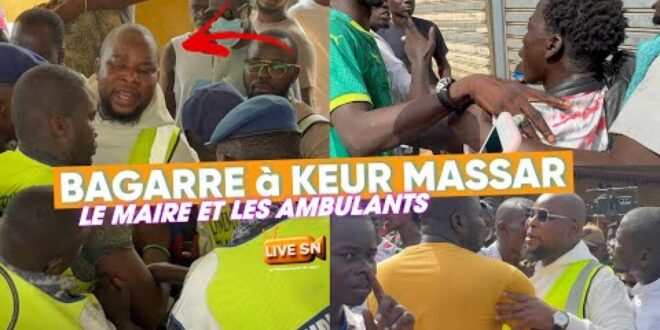 thumb 1260x800 68d9244ae29ca kq6tdOkdkB