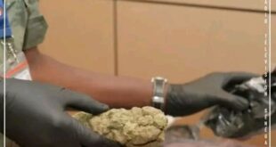 Guédiawaye : Un homme arrêté avec 600g de Haschisch expédié depuis Paris 3 17618188579842