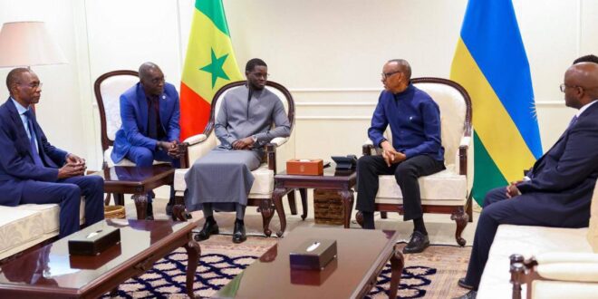 560496560 1249762623851974 2569146250495308672 n