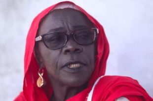 565118443 1270212168467090 7162253311802061927 n