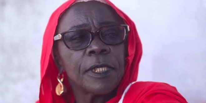 565118443 1270212168467090 7162253311802061927 n