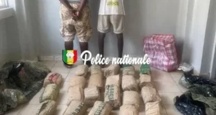 574104625 1353521626169165 8340372727366618307 n 526x675 1