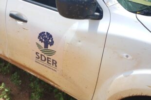 IMG 20251001 WA0113 1