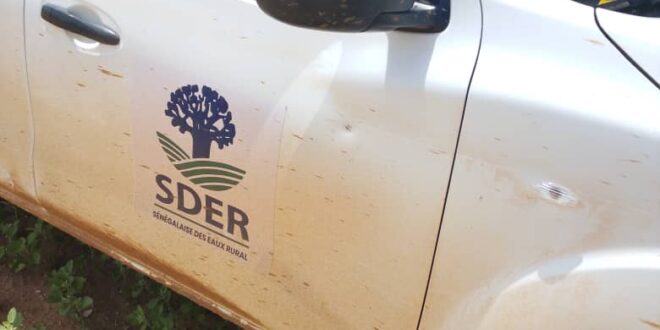 IMG 20251001 WA0113 1